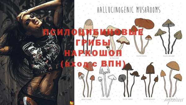 экстази Покачи