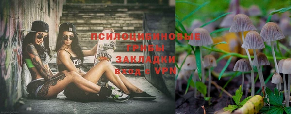 экстази Покачи