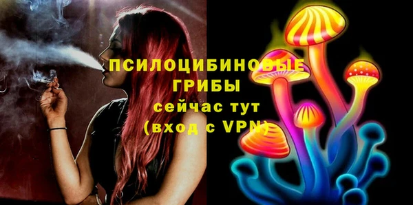 экстази Покачи