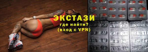 гашик Пестово