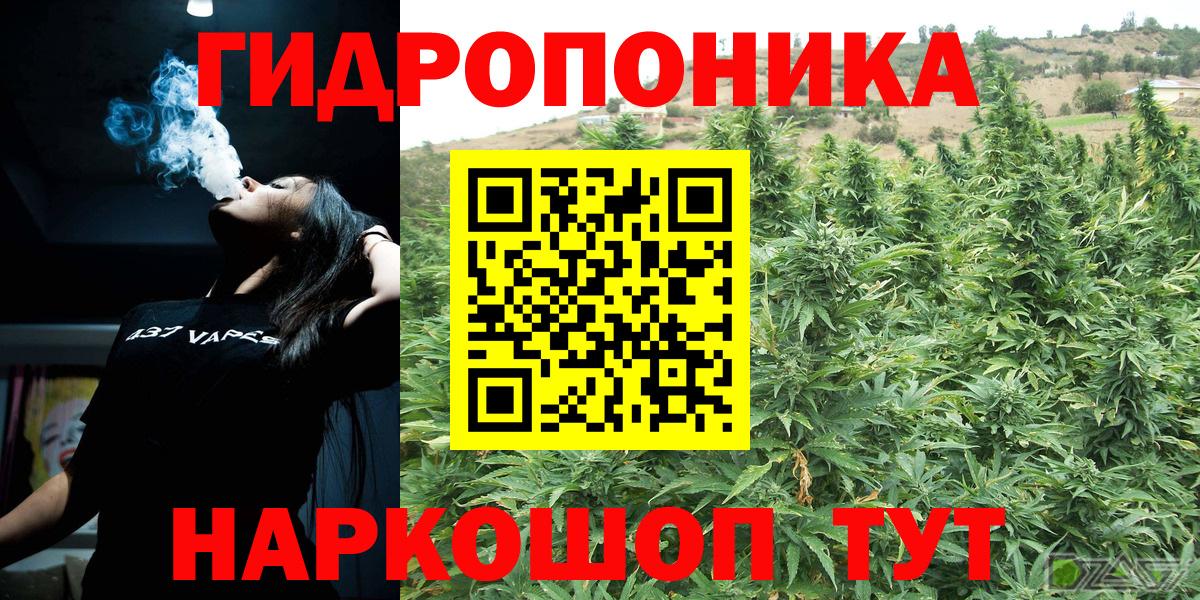 Каннабис White Widow  Шишки марихуана планчик  Вход с VPN  Каннабис план  Сафоново  Конопля AK-47 